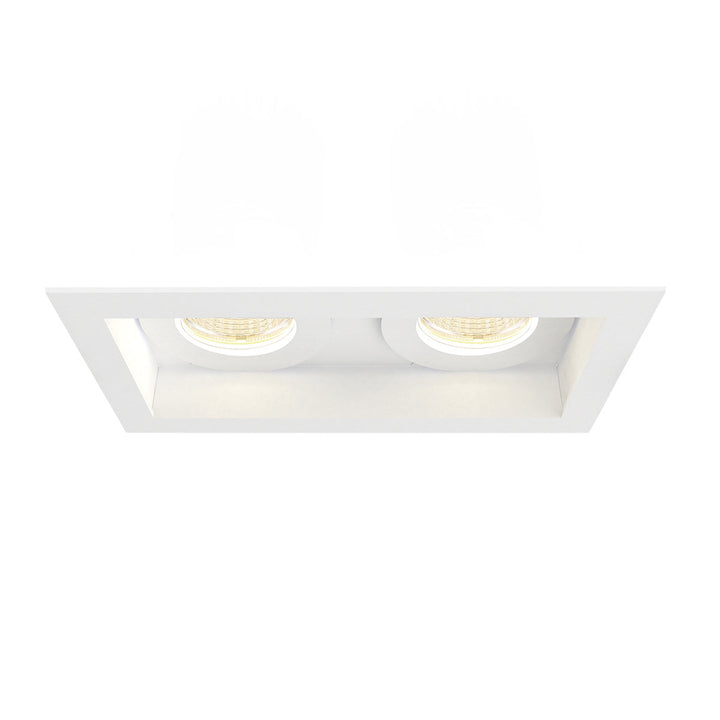 Eurofase Two Light Downlight