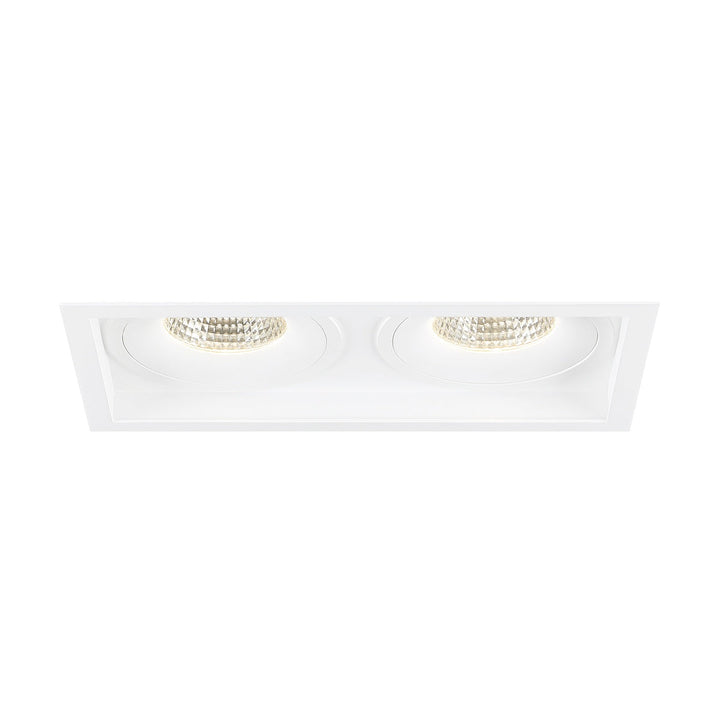 Eurofase Two Light Downlight