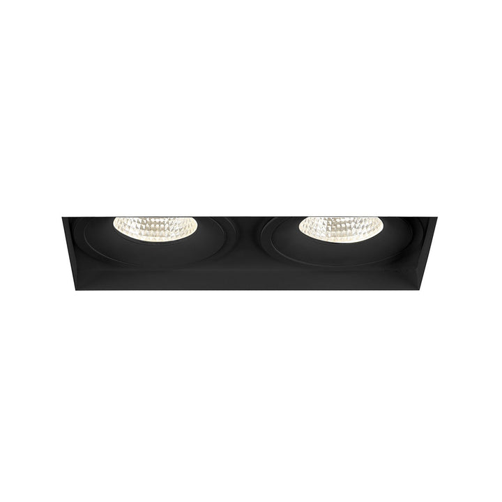 Eurofase Two Light Downlight