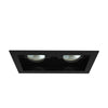 Eurofase Two Light Downlight