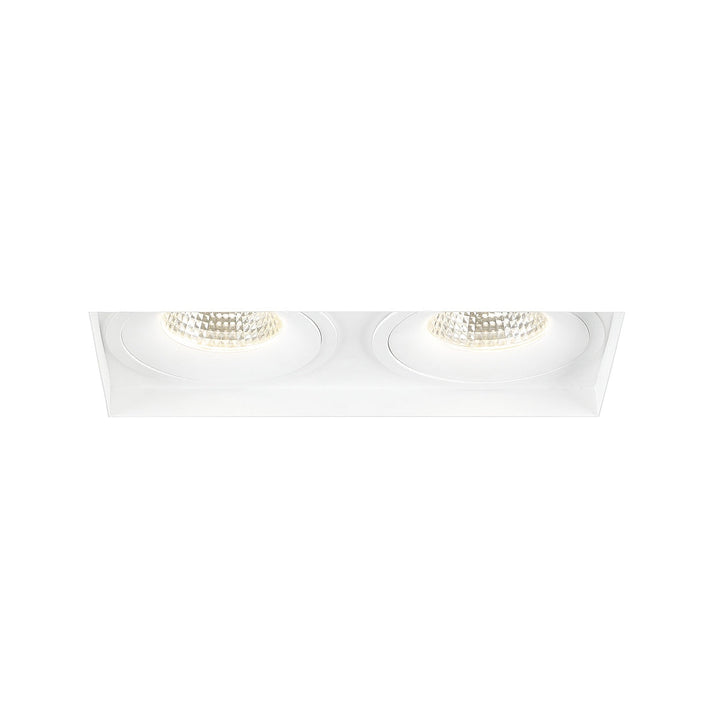 Eurofase Two Light Downlight