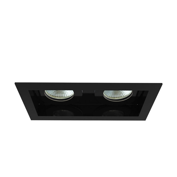 Eurofase Two Light Downlight