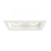 Eurofase Two Light Downlight