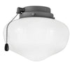 Fan Light Kit in Graphite