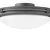Fan Light Kit in Graphite