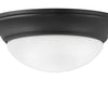 Fan Light Kit in Matte Black