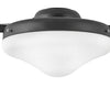 Fan Light Kit in Matte Black