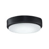 Fanimation Levon One Light Fan Light Kit in Black