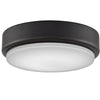 Fanimation Levon One Light Fan Light Kit in Dark Bronze
