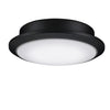 Fanimation One Light Fan Light Kit