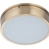 Fenn LED Flushmount in Satin Brass