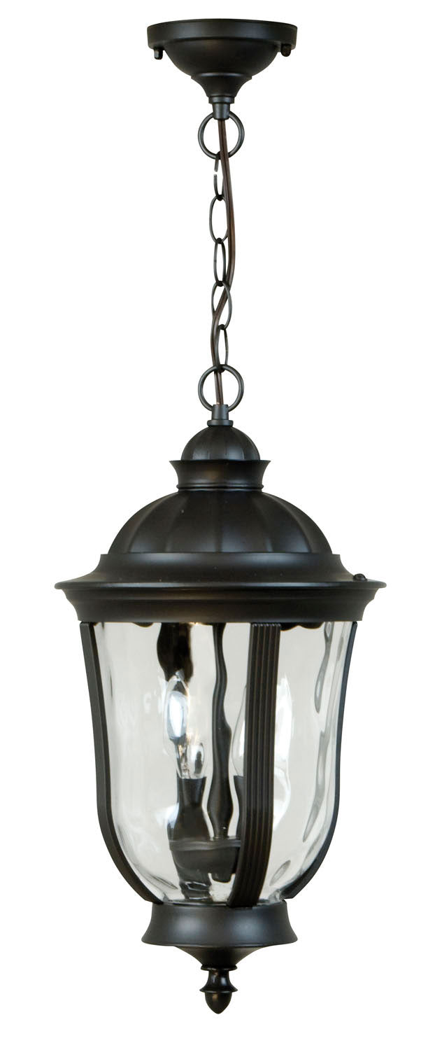 Frances Two Light Pendant in Oiled Bronze Outdoor