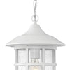Freeport LED Hanging Lantern in Classic White