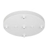 Generation Lighting. Five Light Cluster Canopy