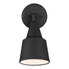 Generation Lighting. One Light Flood Light