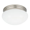 Generation Lighting. One Light Flush Mount