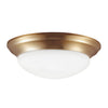 Generation Lighting. One Light Flush Mount