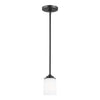 Generation Lighting. One Light Mini-Pendant