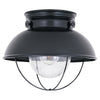 Generation Lighting. One Light Outdoor Flush Mount