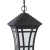 Generation Lighting. One Light Outdoor Pendant