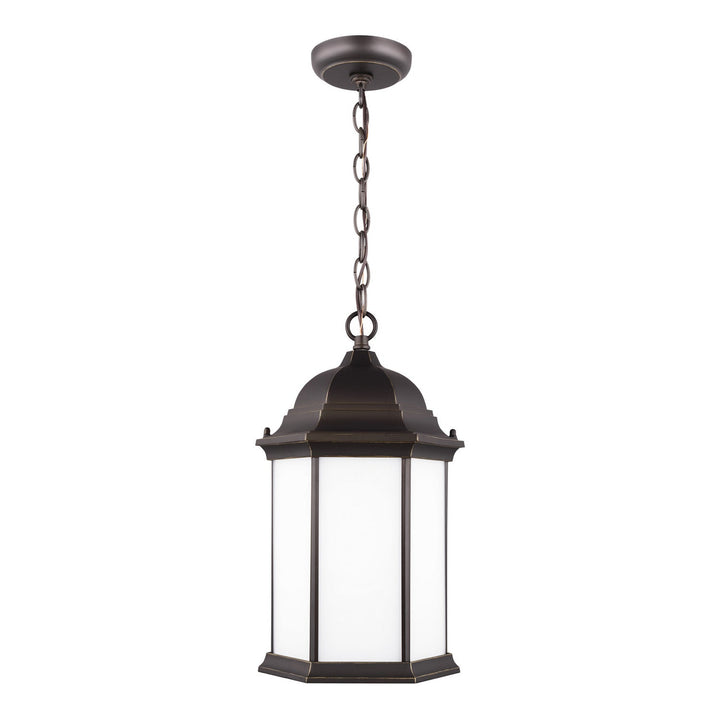 Generation Lighting. One Light Outdoor Pendant