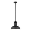 Generation Lighting. One Light Outdoor Pendant