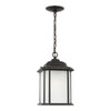 Generation Lighting. One Light Outdoor Pendant