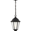Generation Lighting. One Light Outdoor Pendant