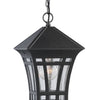 Generation Lighting. One Light Outdoor Pendant