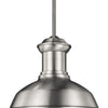 Generation Lighting. One Light Outdoor Pendant
