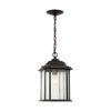 Generation Lighting. One Light Outdoor Pendant