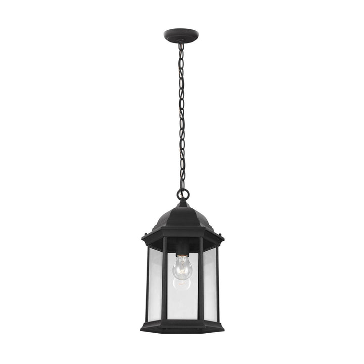 Generation Lighting. One Light Outdoor Pendant