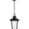 Generation Lighting. One Light Outdoor Pendant