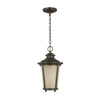 Generation Lighting. One Light Outdoor Pendant