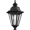 Generation Lighting. One Light Outdoor Pendant