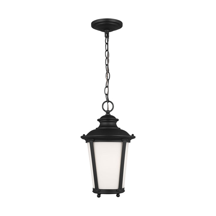 Generation Lighting. One Light Outdoor Pendant