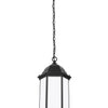 Generation Lighting. One Light Outdoor Pendant
