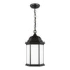Generation Lighting. One Light Outdoor Pendant