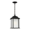 Generation Lighting. One Light Outdoor Pendant