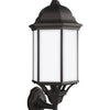 Generation Lighting. One Light Outdoor Wall Lantern