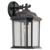 Generation Lighting. One Light Outdoor Wall Lantern