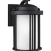 Generation Lighting. One Light Outdoor Wall Lantern
