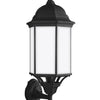 Generation Lighting. One Light Outdoor Wall Lantern