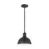 Generation Lighting. One Light Pendant