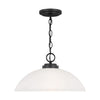 Generation Lighting. One Light Pendant