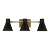Generation Lighting. Three Light Wall / Bath