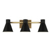 Generation Lighting. Three Light Wall / Bath