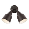 Generation Lighting. Two Light Adjustable Swivel Flood Light