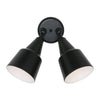 Generation Lighting. Two Light Flood Light