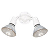 Generation Lighting. Two Light Flood Light